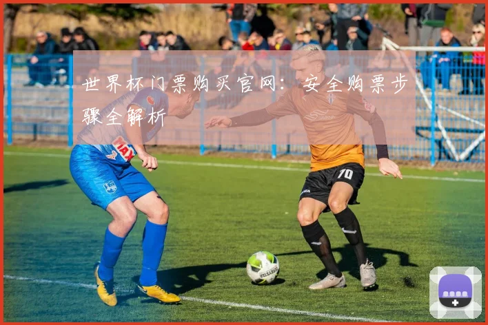 世界杯门票购买官网：安全购票步骤全解析