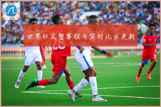 世界杯完整赛程与实时比分更新