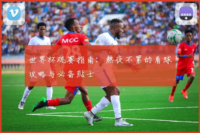 世界杯观赛指南：熬夜不累的看球攻略与必备贴士