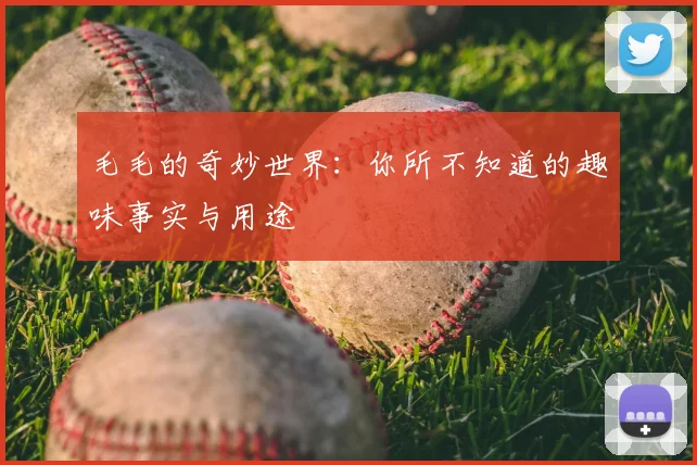 毛毛的奇妙世界:你所不知道的趣味事实与用途