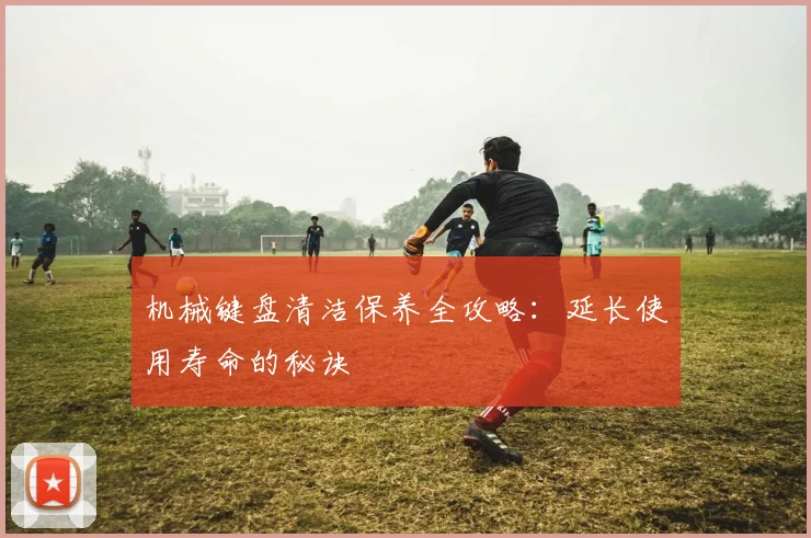 机械键盘清洁保养全攻略:延长使用寿命的秘诀
